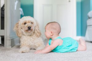 bébé photographe